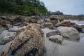 Vancouver Islands...