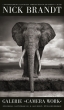 Nick Brandt Camera Work