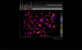 beautiful mind