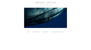 Bryant Austin