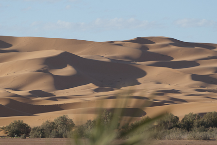 Sahara