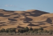 sahara